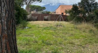 TERRENY MOLT AMPLI I BEN SITUAT